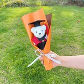 橙色+博士熊 × 1個