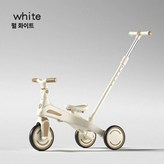 펄화이트 4 1 × 1개