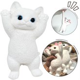 화이트캣 × 1개