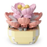 P1249怦然心動 × 1個