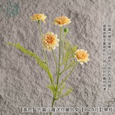 【黃色】仿真羅莎迷你麗人菊【單支】 × 1個