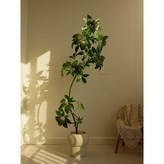 C. 큰잎우산 1.7m + 버섯화분(솔풀2팩) × 1개