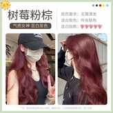 樹莓粉棕棕泡泡染,330ml × 1個