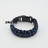 독액 × 1개