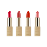 14 / 모로칸로사