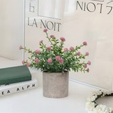 핑크데이지 × 1개