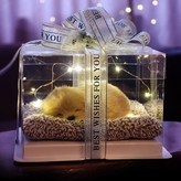 小拉布拉多禮盒18*18*12cm × 1個