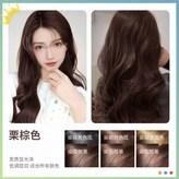 栗棕色 免漂顯白,330ml × 1個
