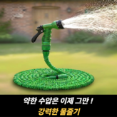 그린 15M × 1개