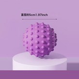 紫色浮點5cm:如圖 × 1個