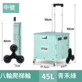 青禾綠, 八輪萬向輪, 45L × 1個