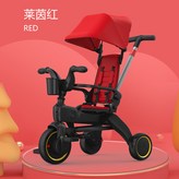 中國紅 × 1個