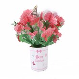 康乃馨21*27.5 底8CM × 30包