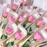캔디핑크