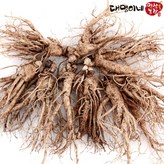 난발 9~11뿌리-750g × 1개