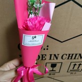 康乃馨玫紅,花束高度27cm左右 × 1個