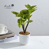 023517 三頭綠植小盆景（塑料花盆） × 1個