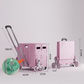 C 애쉬 핑크 × 1개