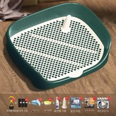 그린 라지 디럭스선물패키지 × 1개