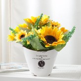 샤니해바라기티알화분 × 1개