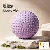 紫色 × 1個