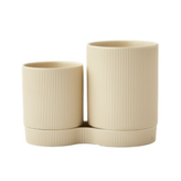 아이보리 (IVORY)