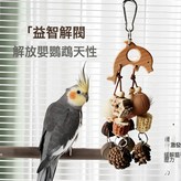 鸚鵡玩具-五角星:如圖 × 1個