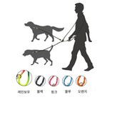 레인보우 × 1개