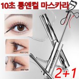 블랙