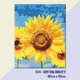 하늘바라기