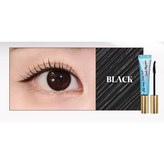 纖長捲翹 01 Black 28/06, 現貨 × 1個