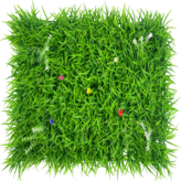 와일드 그라스 × 1개