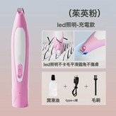 奧麗粉 LED發光充電款:如圖 × 1個