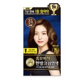 Dark Brown (짙은 갈색)