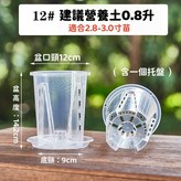 直徑12cm（含託盤） × 1個