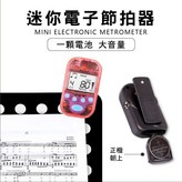 白色 × 1個