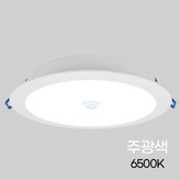 주광색(하얀빛)