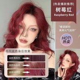樹莓紅【一洗上色】植物泡泡染,330mL × 1個