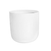 화이트 100ml 1개 × 1개