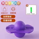 標準款【紫色】含氣筒:如圖所示 × 1個