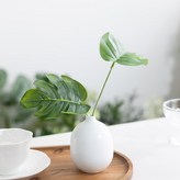 그린몬스테라_화이트 도자기화병