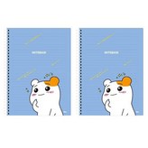 별똥별