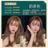 奶茶色【330m】免漂顯白,330ml × 1個