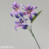 深紫 × 1個