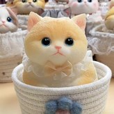 4號貓貓 送籃子 × 1個