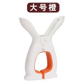 白橘 × 1個