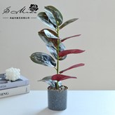 2024240-C（塑料花盆） × 1個