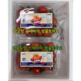 스테비아 방울토마토1kg