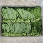 2kg × 1개