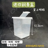 小號樹棲盒 × 1個